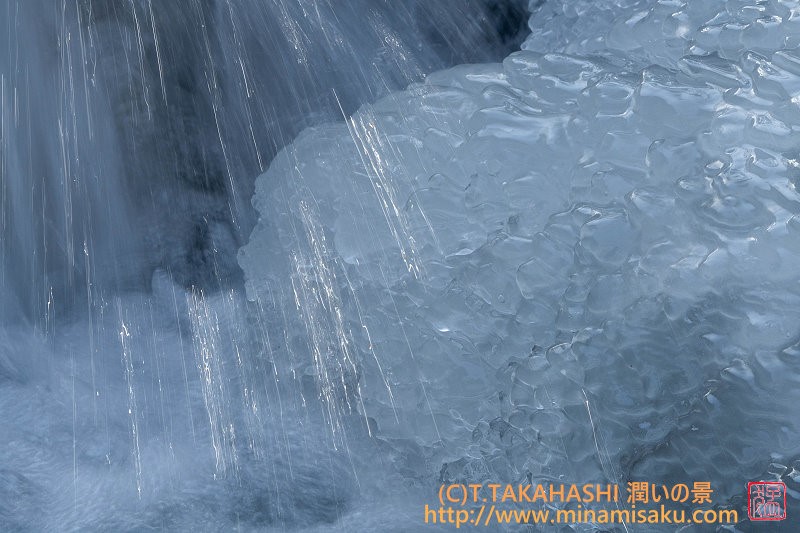 ../Images/7R251213 (100).jpg